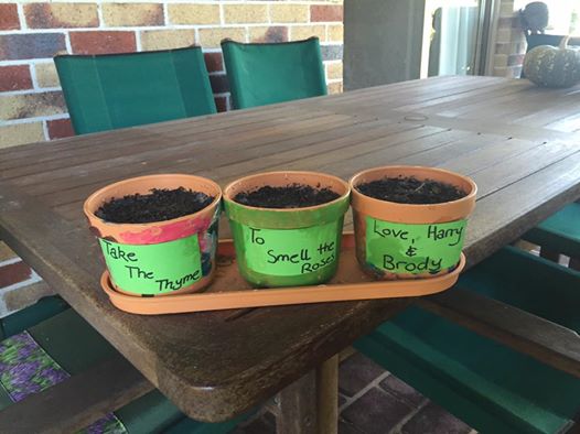 14192150_10209633336843761_7779353264548290904_n