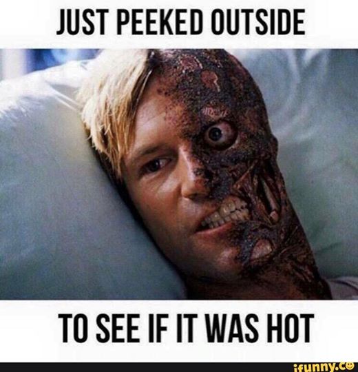 16002778_1196775127057749_3345379946927800559_n